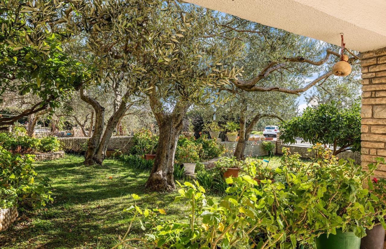 Apartmani Barun Sibenik Bagian luar foto